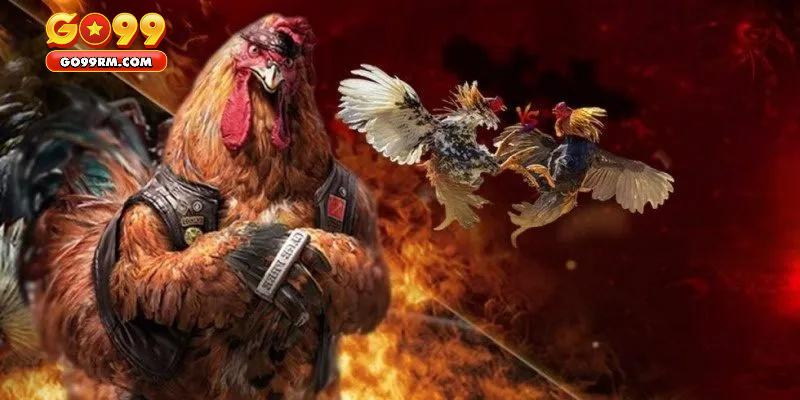 Bí quyết đạt tỷ lệ thắng cao trong cá cược đá gà tre